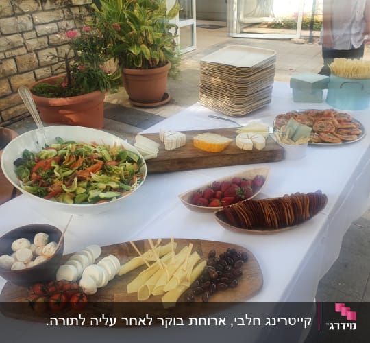 שולחן קייטרינג עם סלט, גבינות ופירות